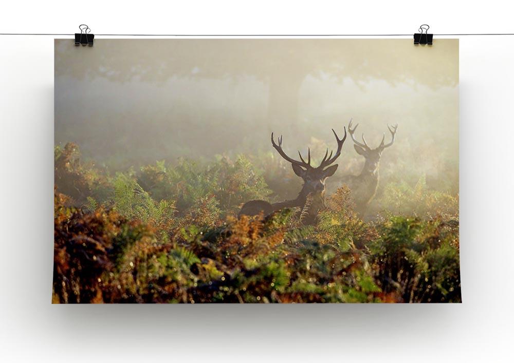 Large red deer stag in mist Canvas Print or Poster - Canvas Art Rocks - 2