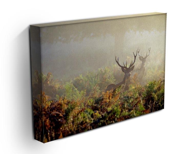 Large red deer stag in mist Canvas Print or Poster - Canvas Art Rocks - 3