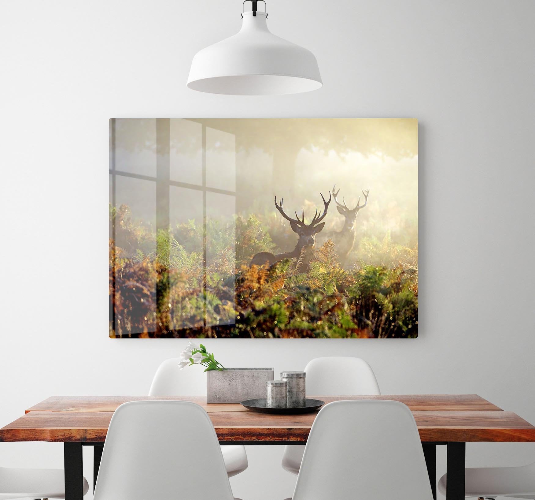 Large red deer stag in mist HD Metal Print - Canvas Art Rocks - 2