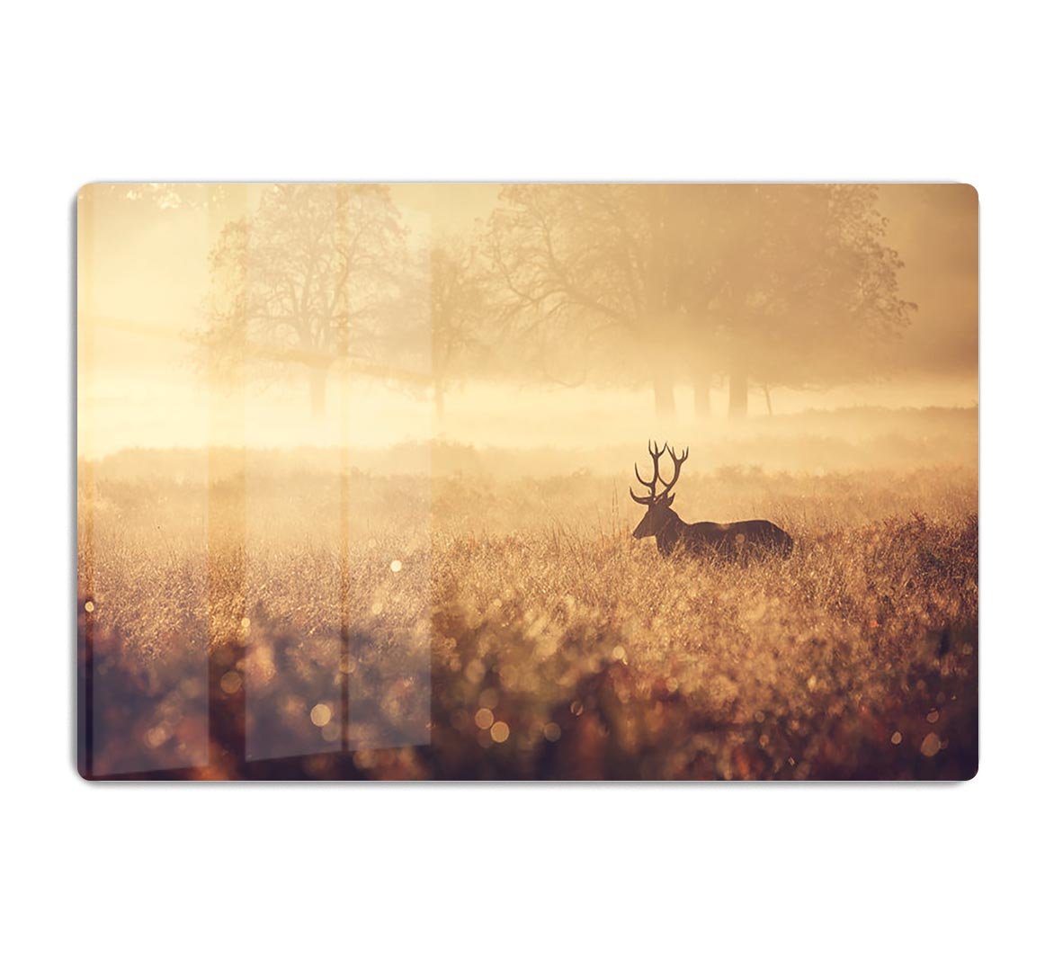 Large red deer stag silhouette in autumn mist HD Metal Print - Canvas Art Rocks - 1