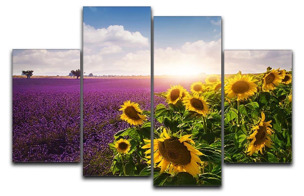 Lavender and sunflowers fields 4 Split Panel Canvas  - Canvas Art Rocks - 1