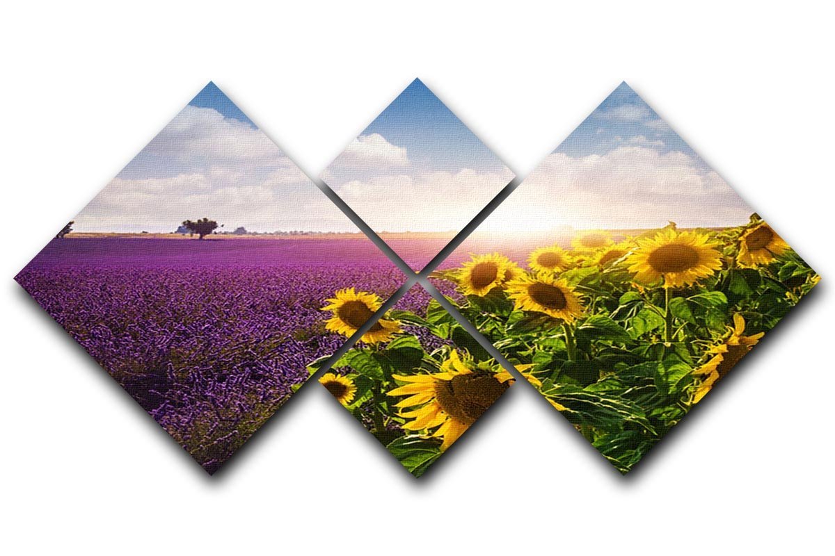 Lavender and sunflowers fields 4 Square Multi Panel Canvas  - Canvas Art Rocks - 1