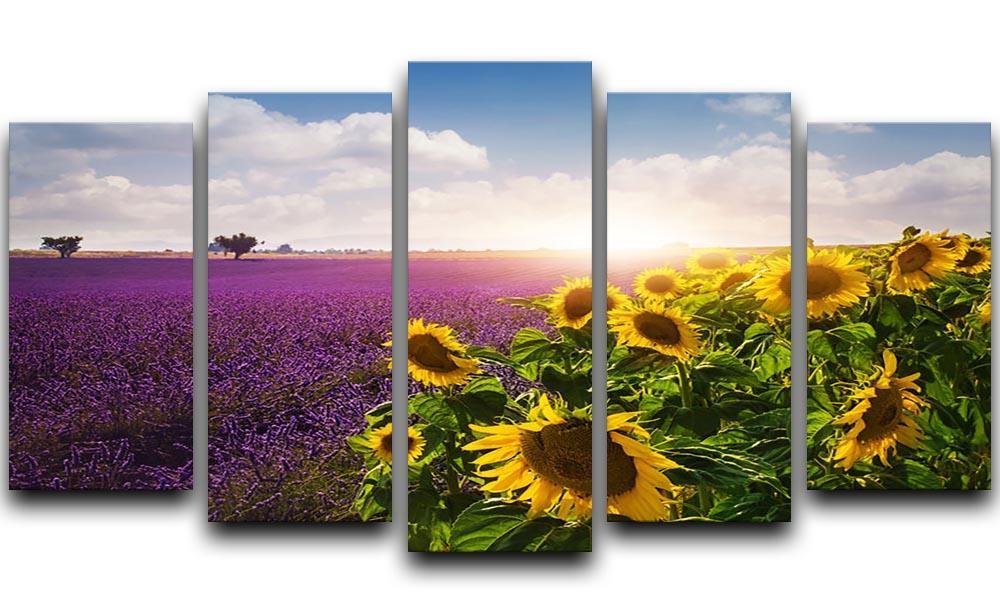 Lavender and sunflowers fields 5 Split Panel Canvas  - Canvas Art Rocks - 1