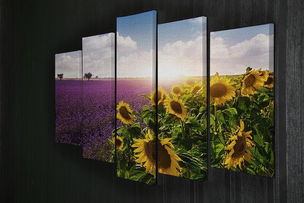 Lavender and sunflowers fields 5 Split Panel Canvas  - Canvas Art Rocks - 2