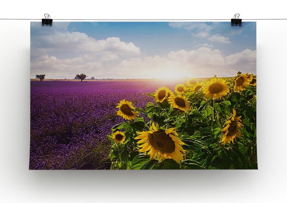 Lavender and sunflowers fields Canvas Print or Poster - Canvas Art Rocks - 2