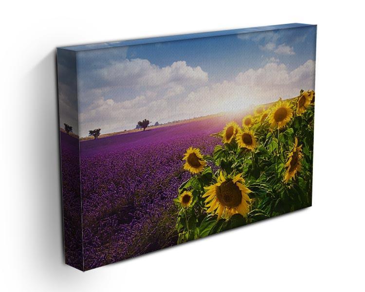 Lavender and sunflowers fields Canvas Print or Poster - Canvas Art Rocks - 3