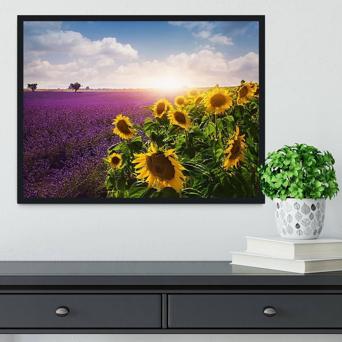 Lavender and sunflowers fields Framed Print - Canvas Art Rocks - 2