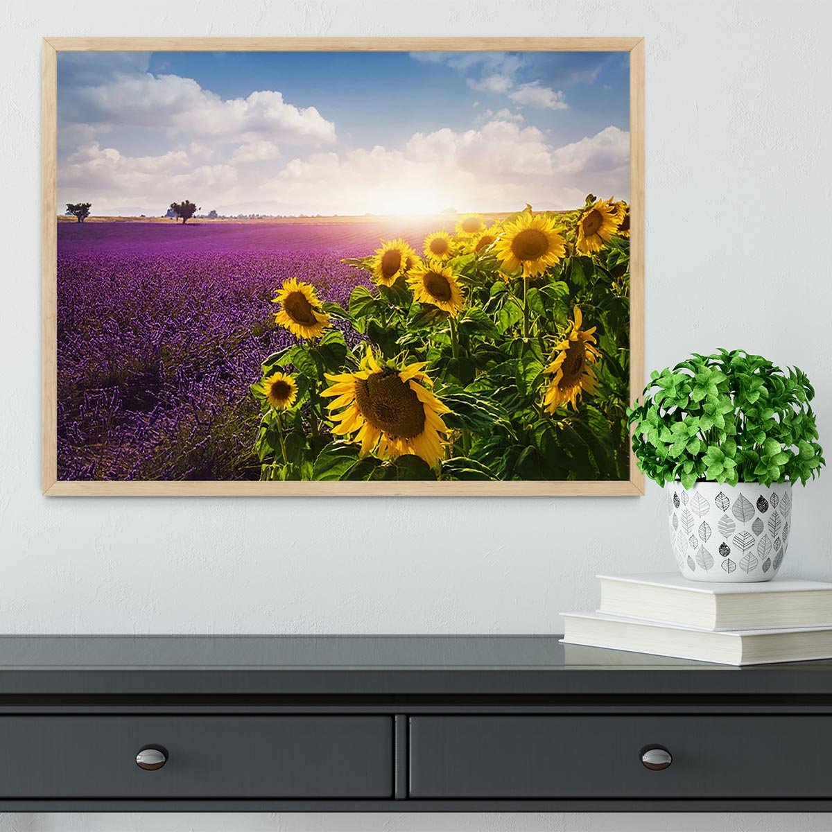 Lavender and sunflowers fields Framed Print - Canvas Art Rocks - 4