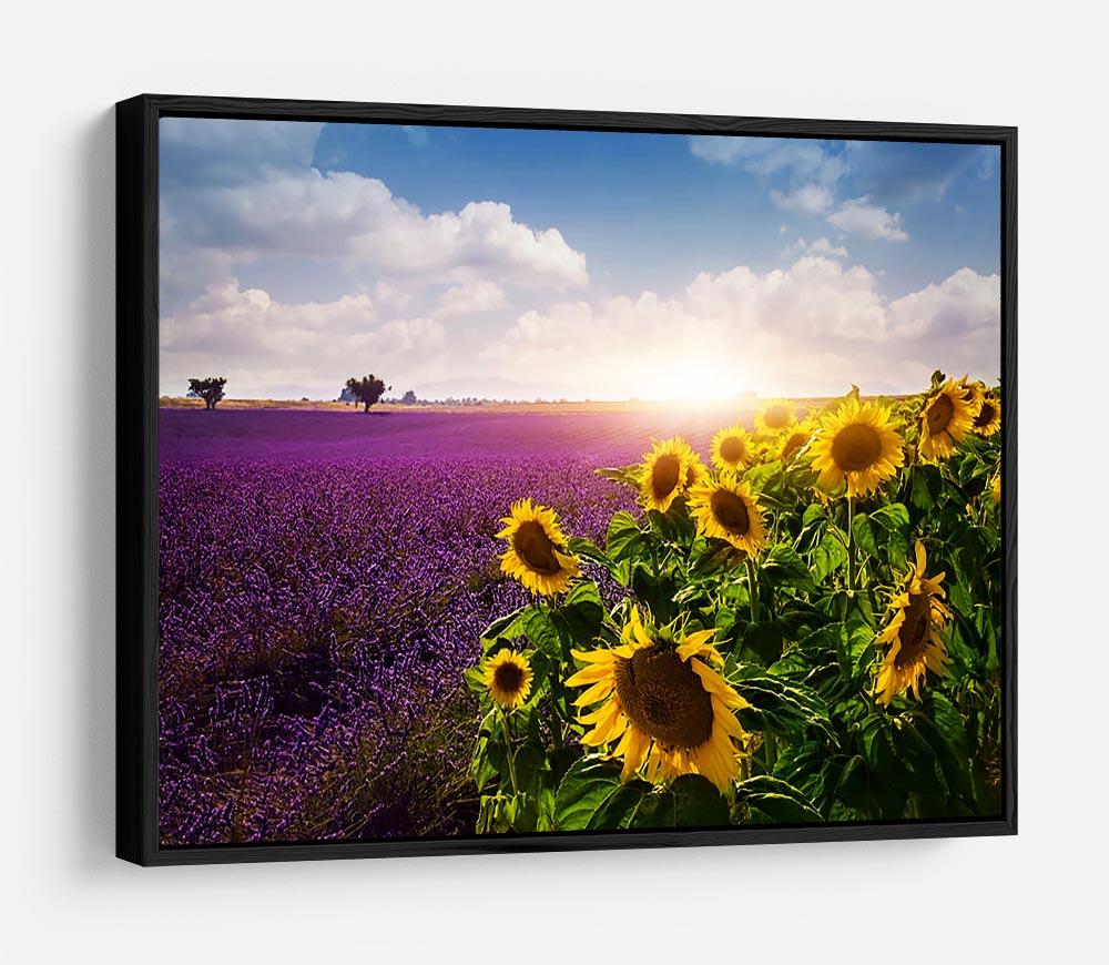 Lavender and sunflowers fields HD Metal Print