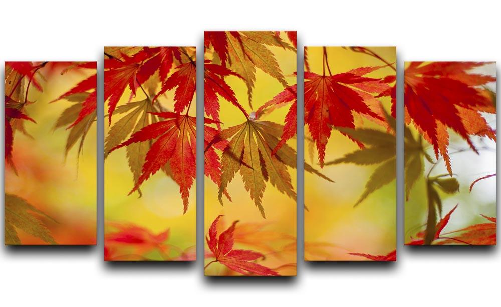 Leaf Patterns 5 Split Panel Canvas - Canvas Art Rocks - 1