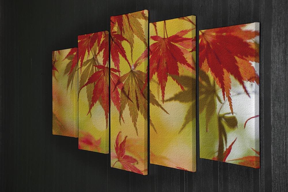 Leaf Patterns 5 Split Panel Canvas - Canvas Art Rocks - 2