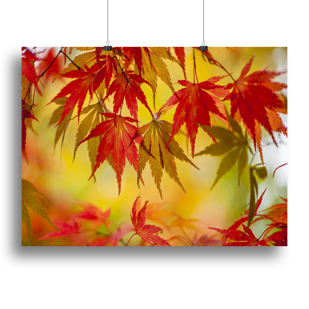 Leaf Patterns Canvas Print or Poster