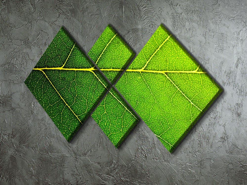 Leaf macro shot 4 Square Multi Panel Canvas  - Canvas Art Rocks - 2