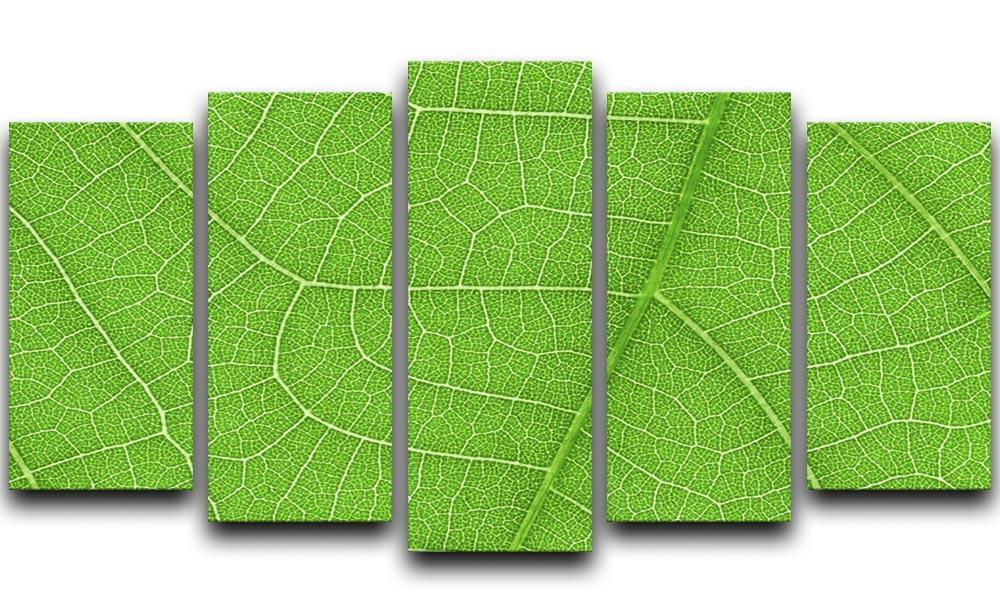 Leaf texture 5 Split Panel Canvas  - Canvas Art Rocks - 1