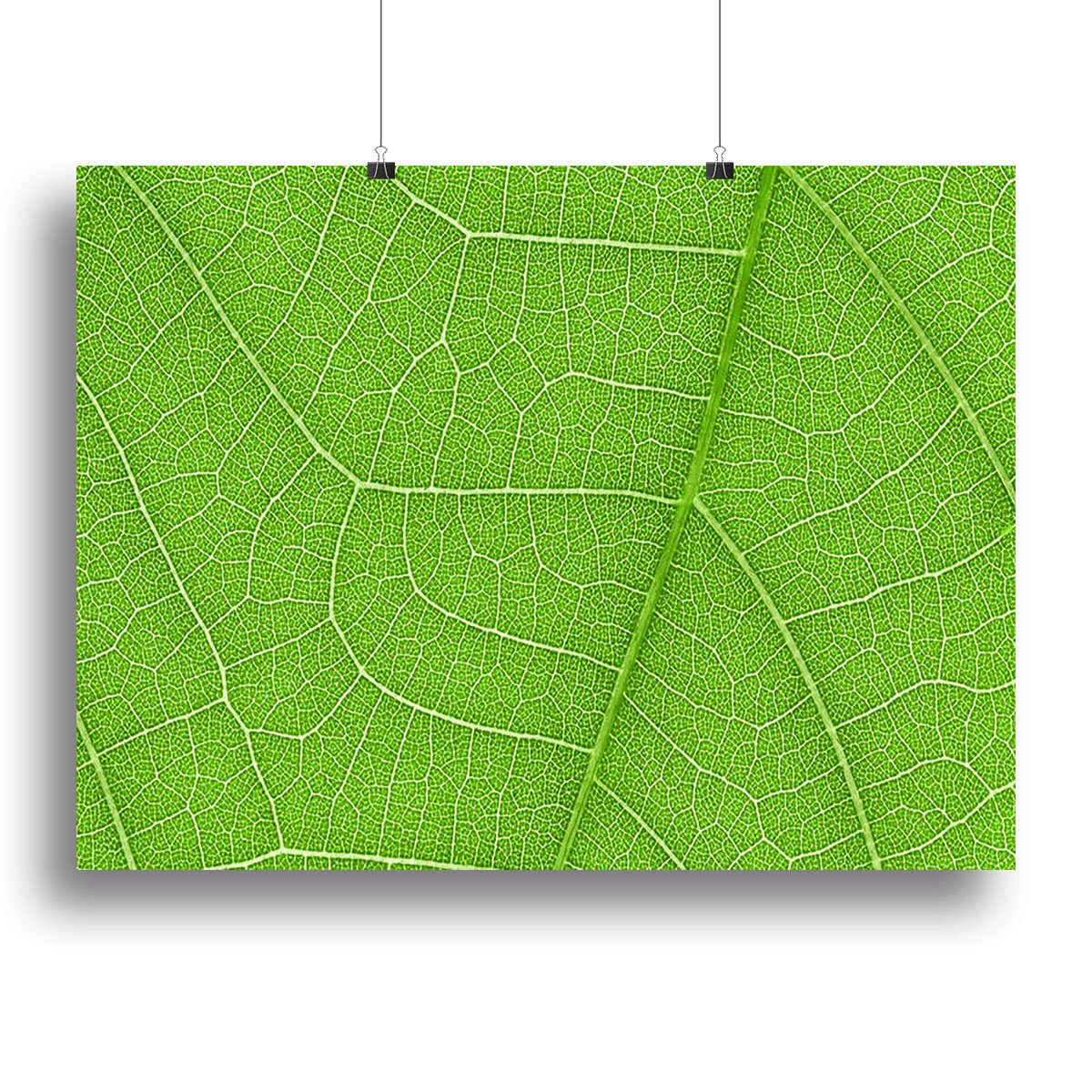 Leaf texture Canvas Print or Poster