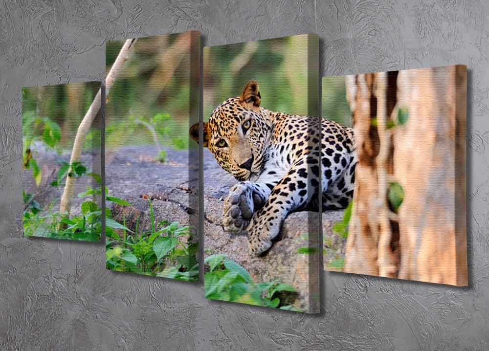 Leopard in the wild 4 Split Panel Canvas - Canvas Art Rocks - 2