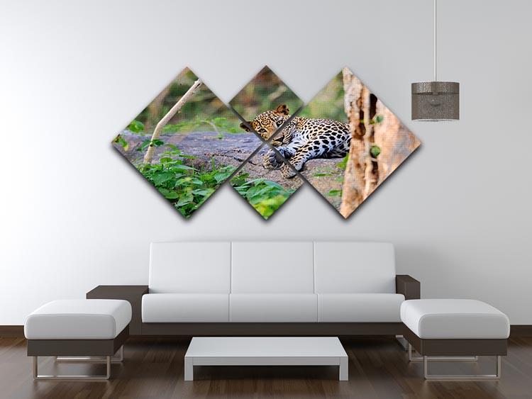 Leopard in the wild 4 Square Multi Panel Canvas - Canvas Art Rocks - 3