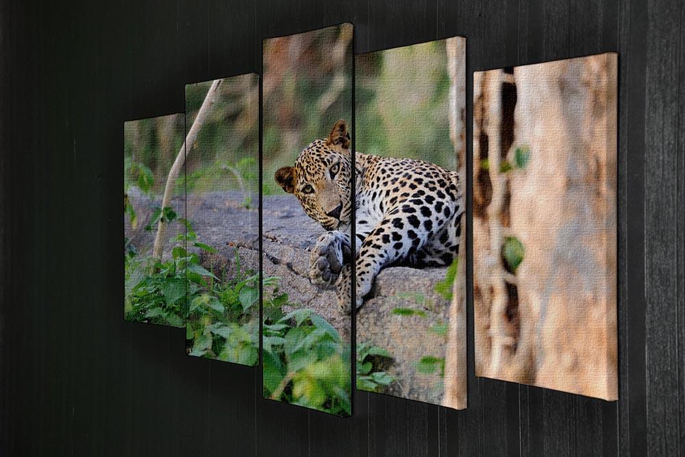 Leopard in the wild 5 Split Panel Canvas - Canvas Art Rocks - 2