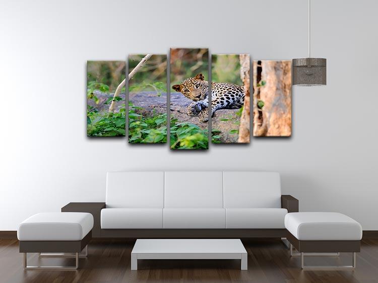 Leopard in the wild 5 Split Panel Canvas - Canvas Art Rocks - 3