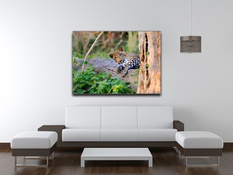 Leopard in the wild Canvas Print or Poster - Canvas Art Rocks - 4