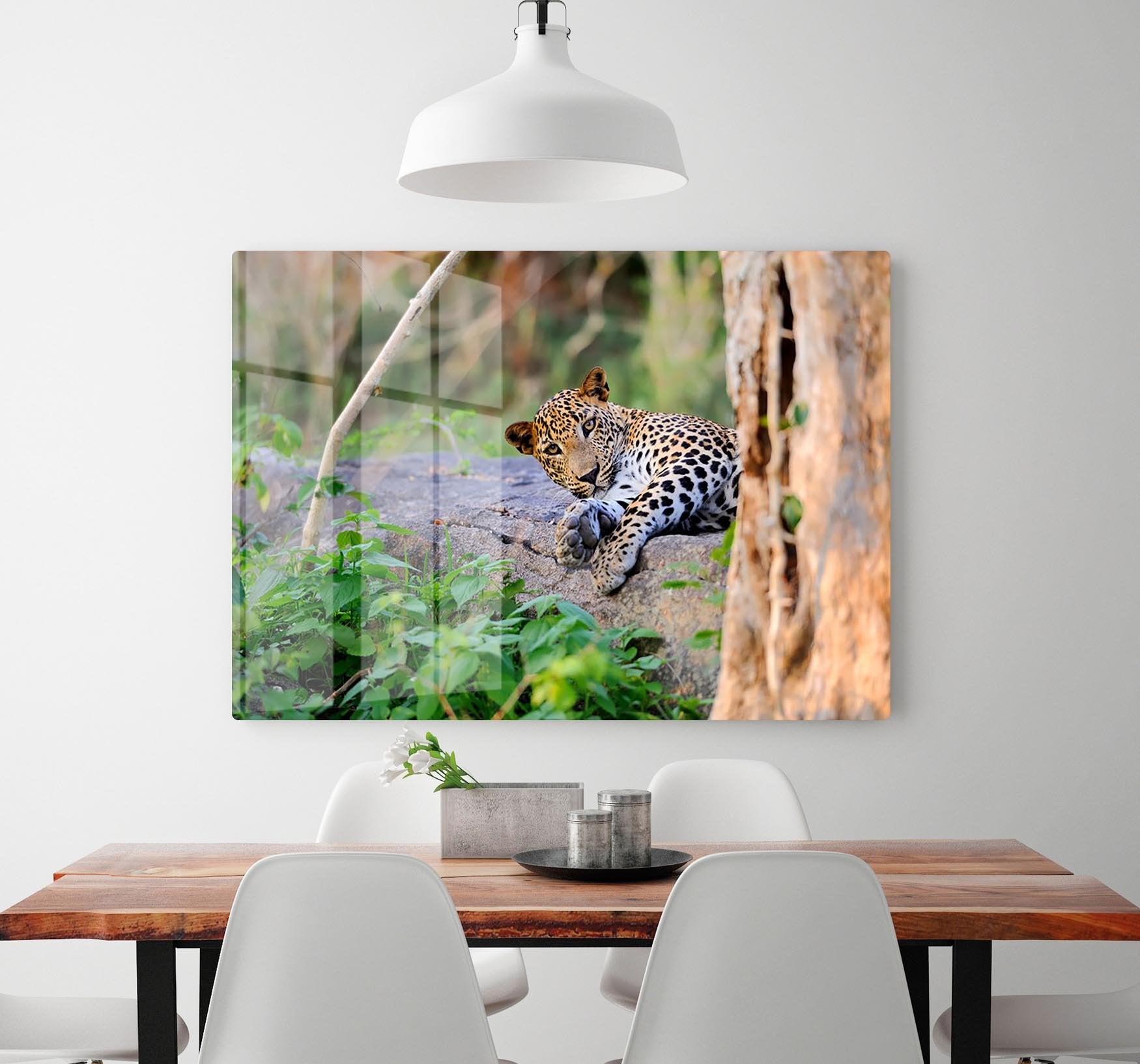 Leopard in the wild HD Metal Print - Canvas Art Rocks - 2