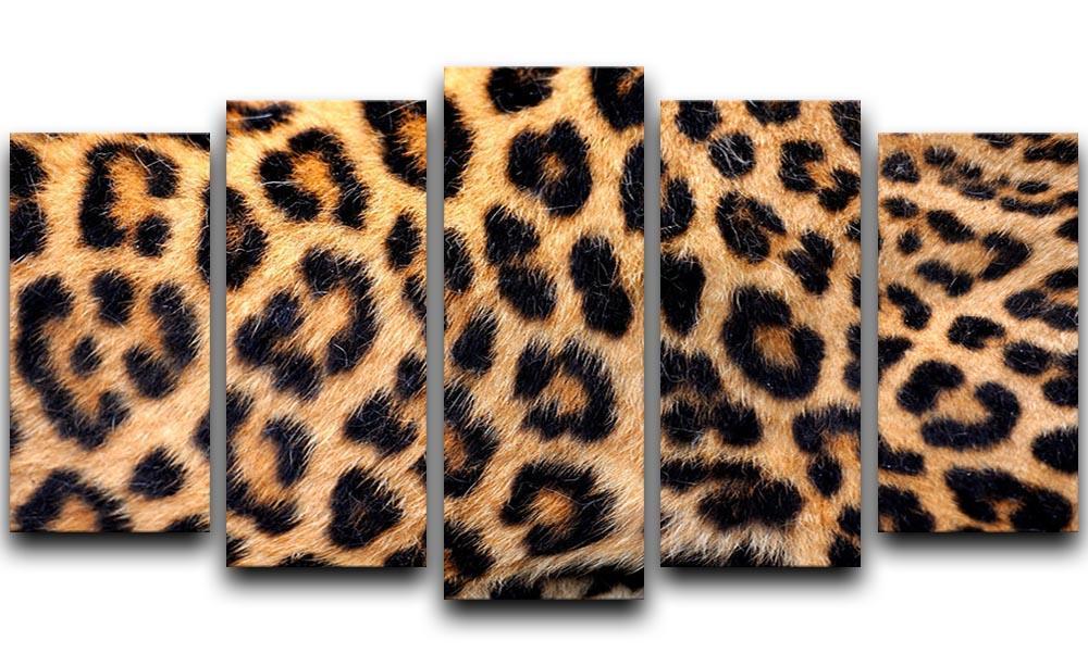 Leopard skin texture 5 Split Panel Canvas  - Canvas Art Rocks - 1