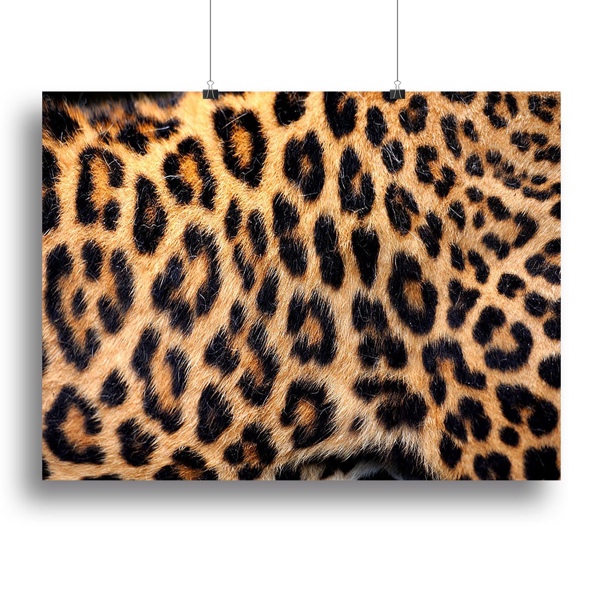 Leopard skin texture Canvas Print or Poster
