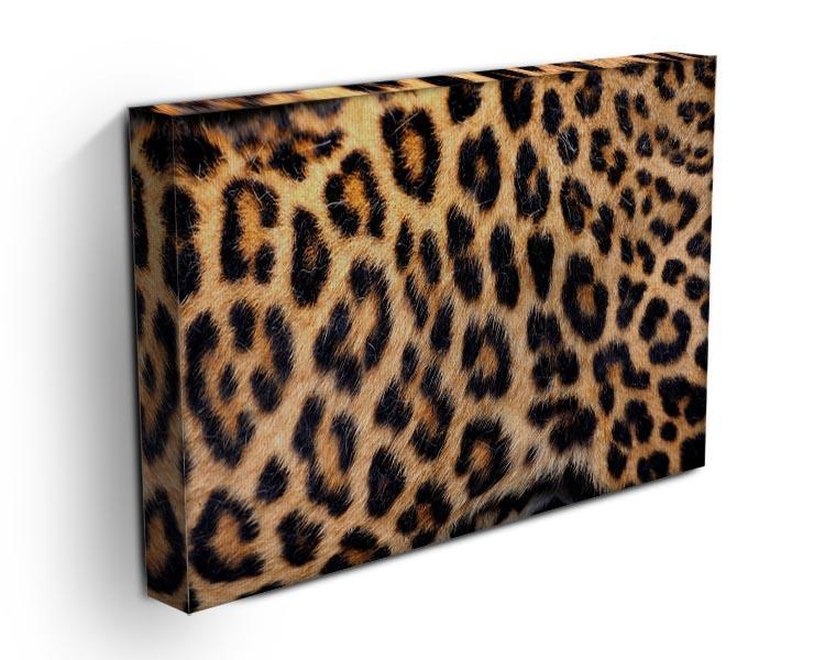 Leopard skin texture Canvas Print or Poster - Canvas Art Rocks - 3