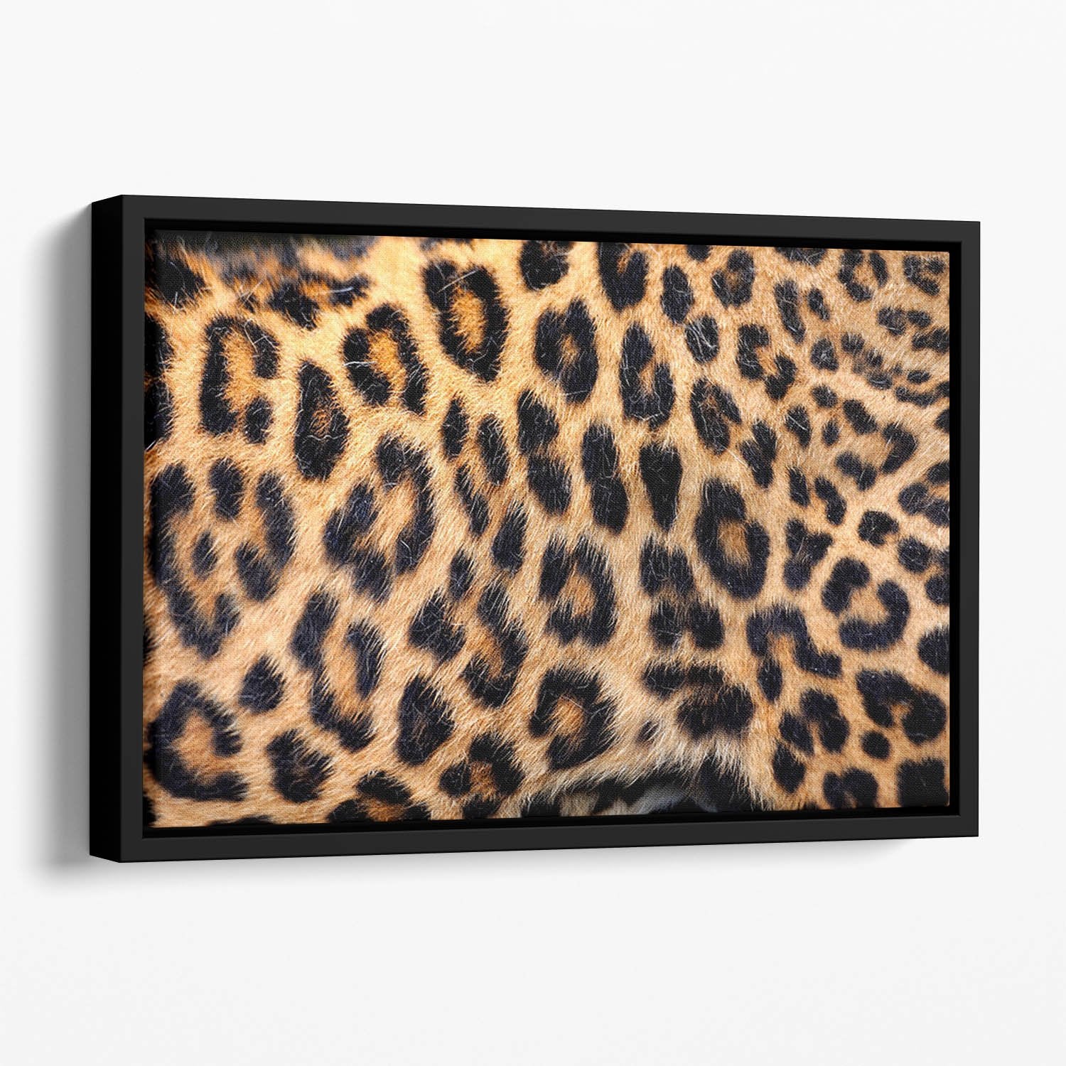 Leopard skin texture Floating Framed Canvas