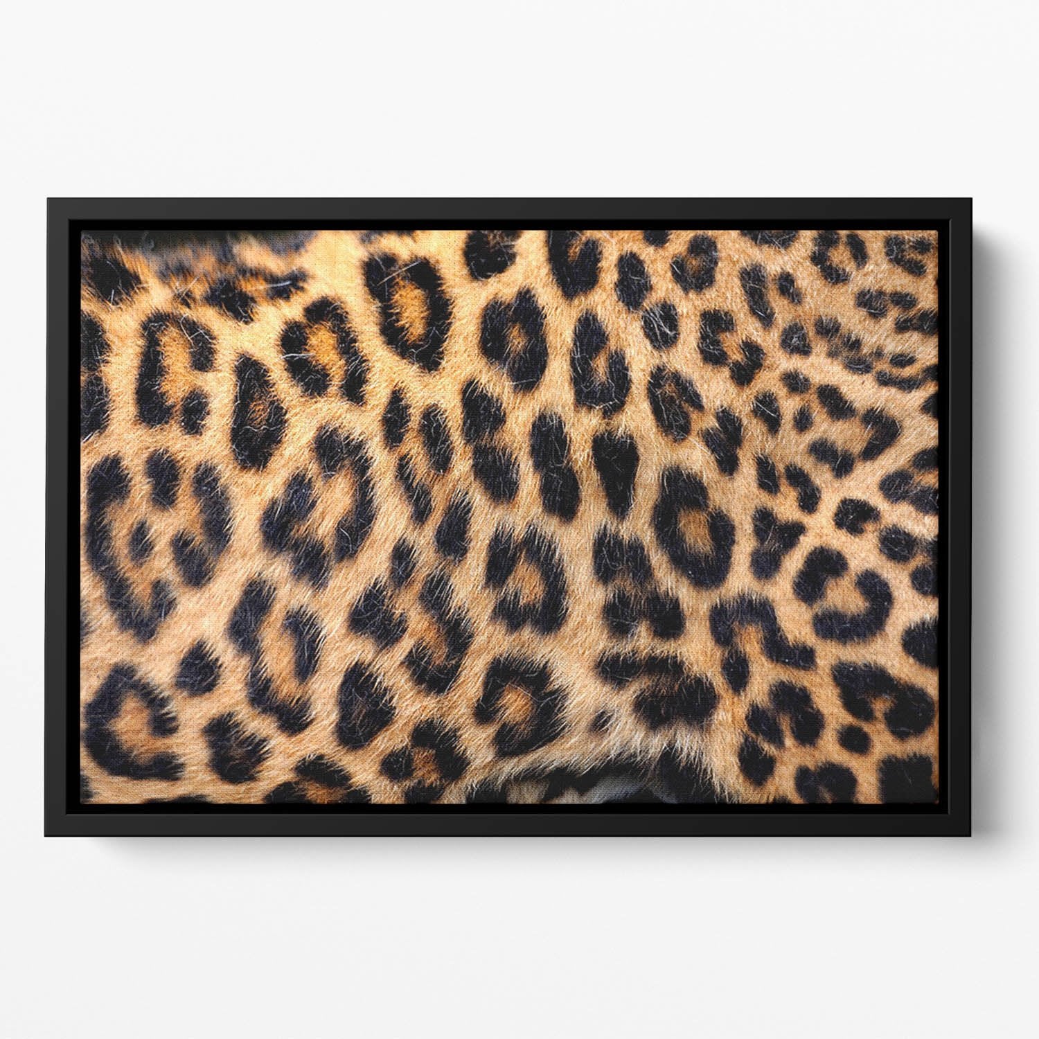 Leopard skin texture Floating Framed Canvas