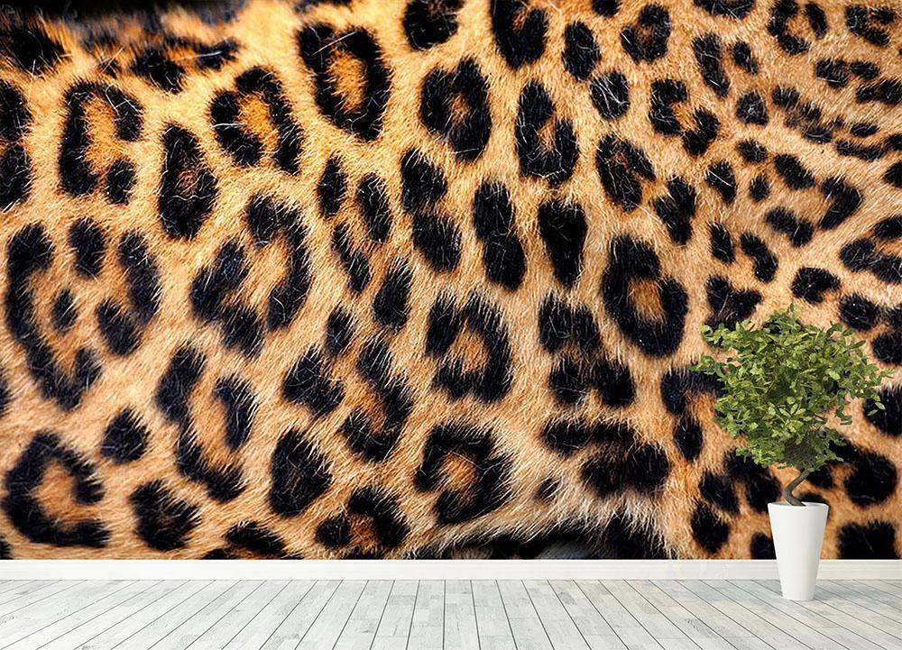 Animal prints Wallpaper at, Cheetah Print Wallpaper 