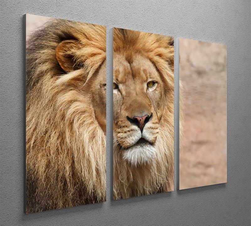 Lion 3 Split Panel Canvas Print - Canvas Art Rocks - 2