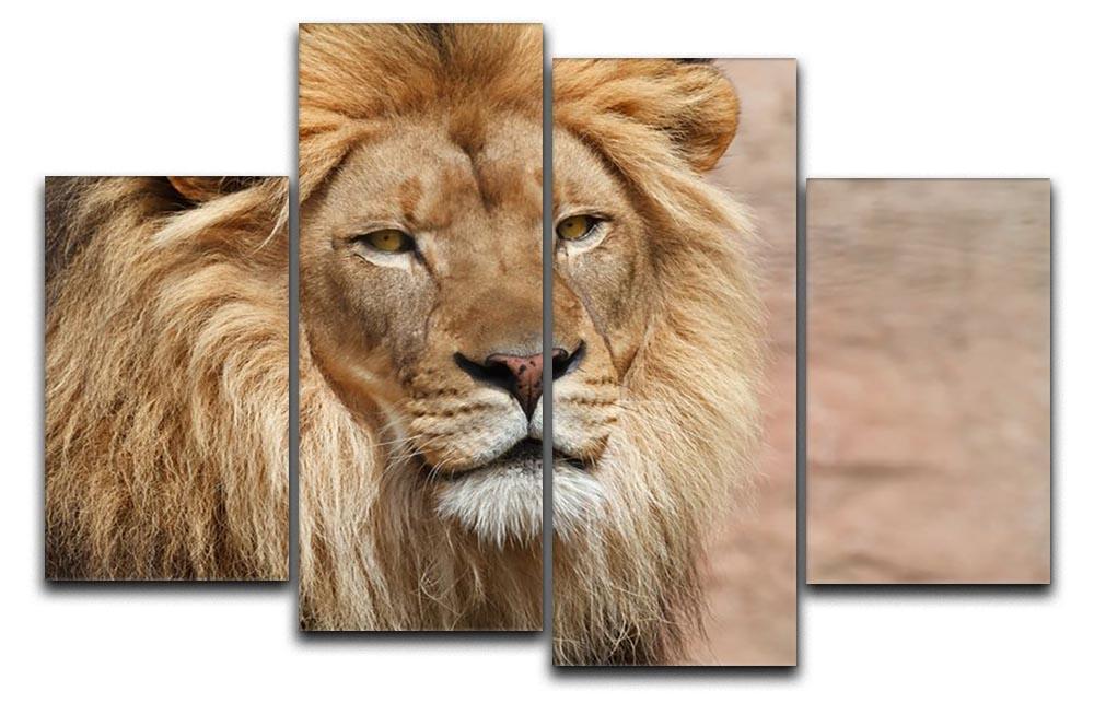 Lion 4 Split Panel Canvas - Canvas Art Rocks - 1
