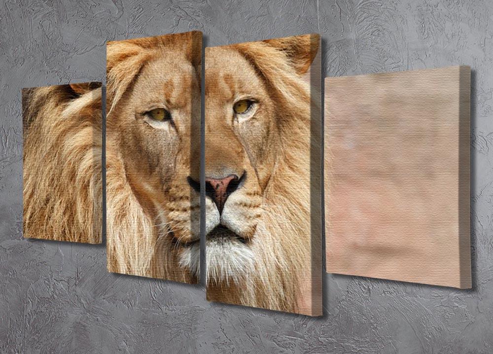 Lion 4 Split Panel Canvas - Canvas Art Rocks - 2