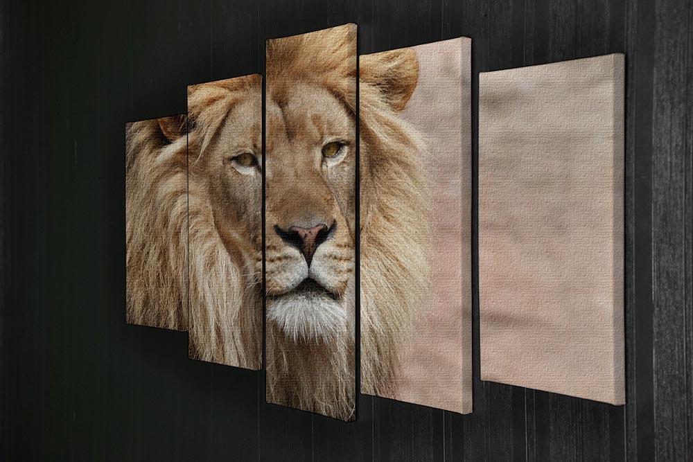 Lion 5 Split Panel Canvas - Canvas Art Rocks - 2