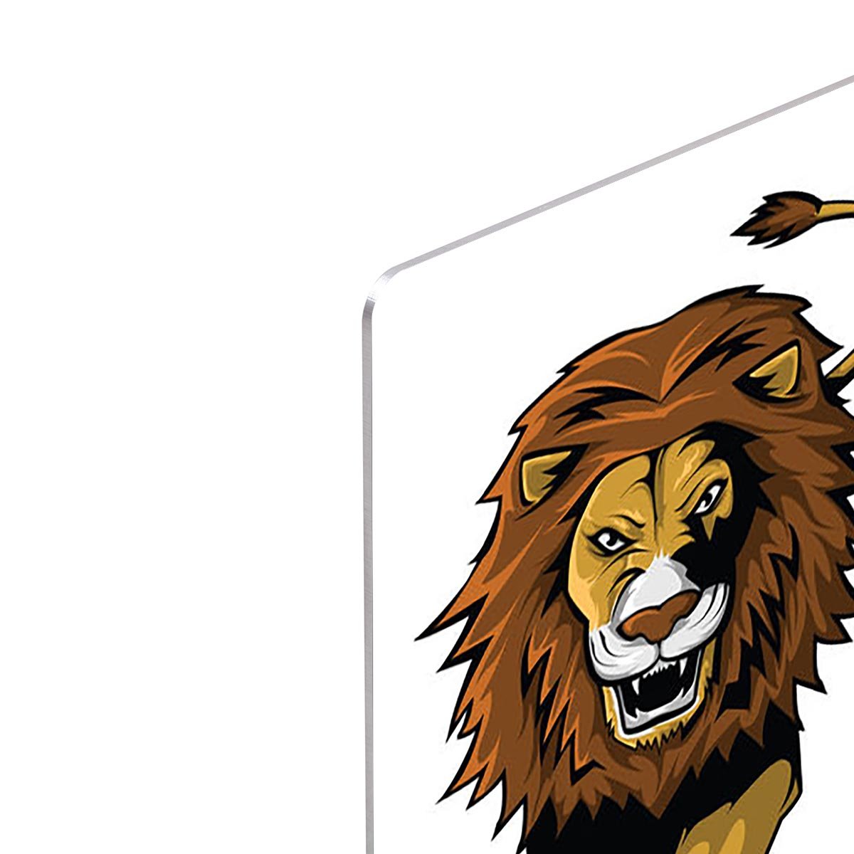 Lion And Tiger HD Metal Print - Canvas Art Rocks - 4