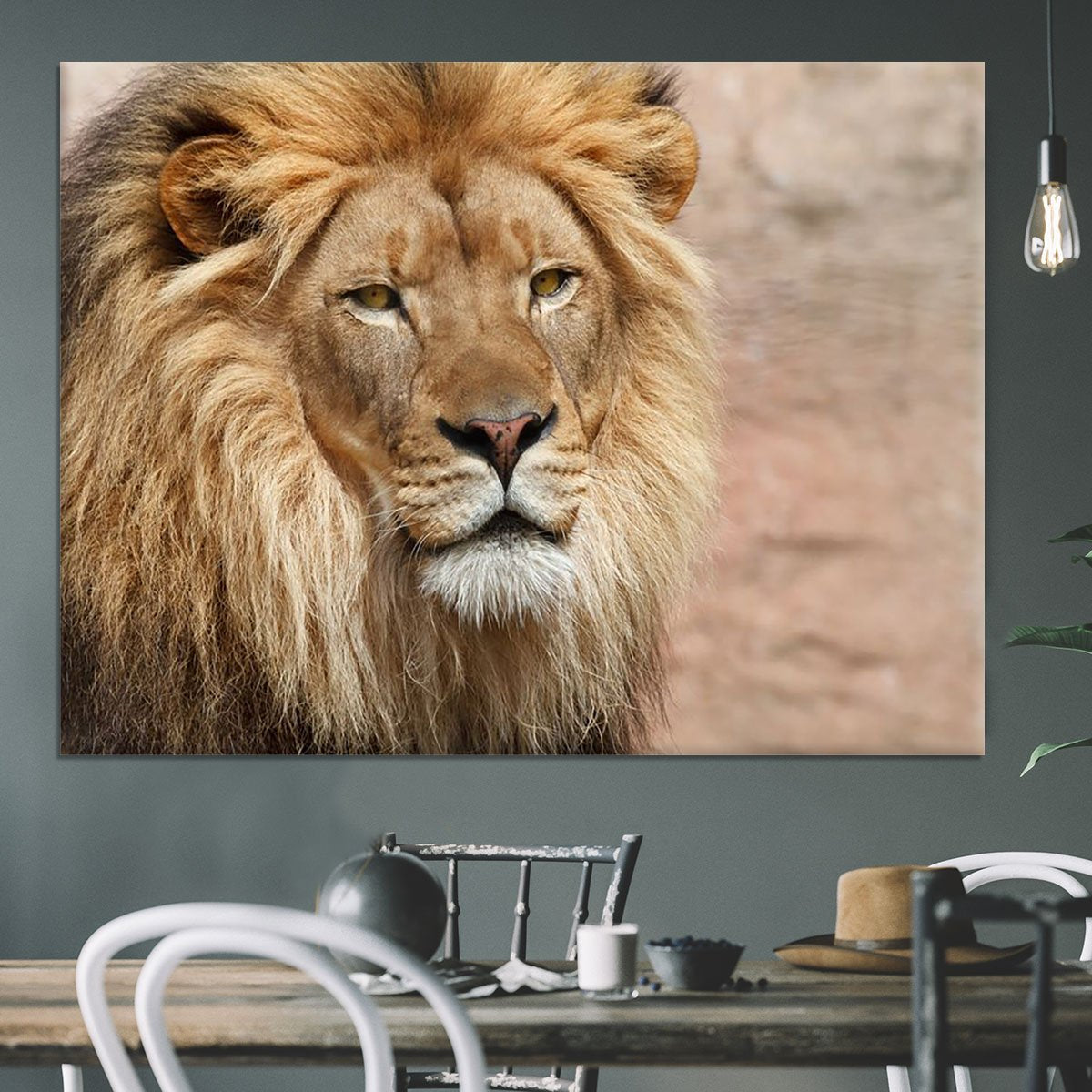 Lion Canvas Print or Poster