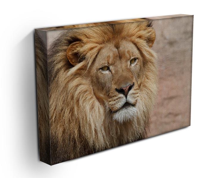 Lion Canvas Print or Poster - Canvas Art Rocks - 3