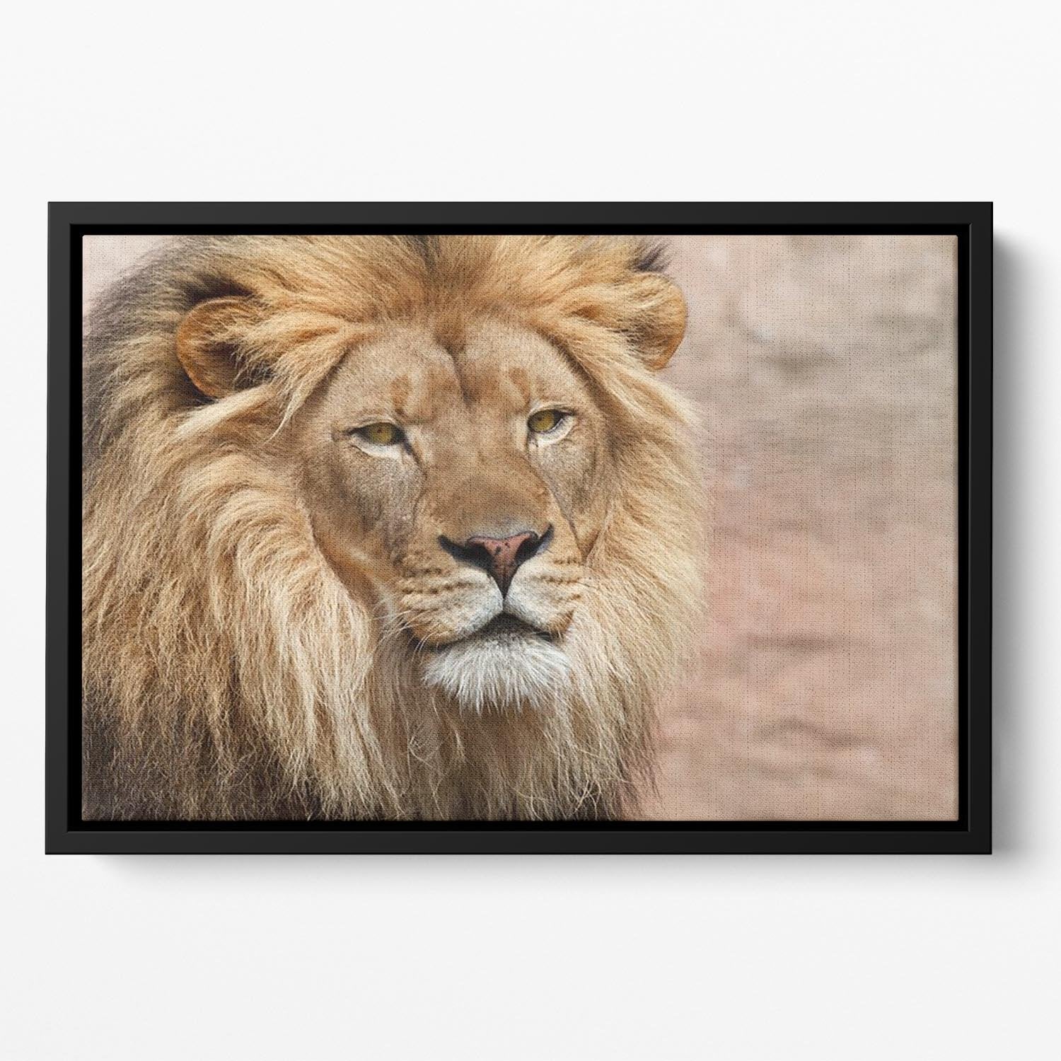 Lion Floating Framed Canvas - Canvas Art Rocks - 2