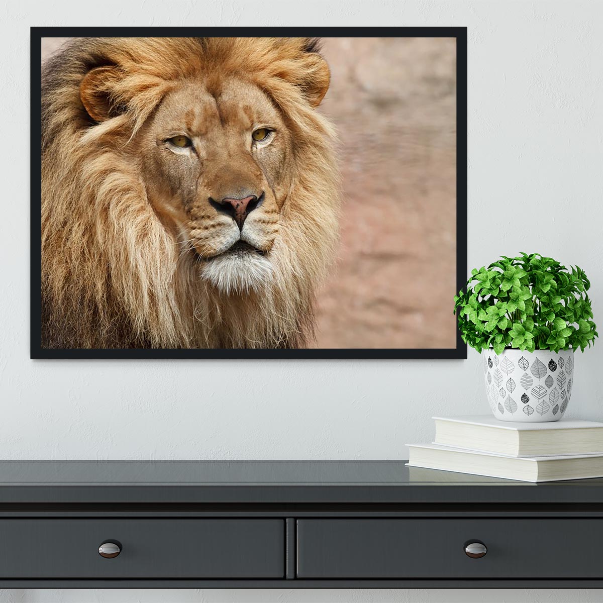 Lion Framed Print - Canvas Art Rocks - 2