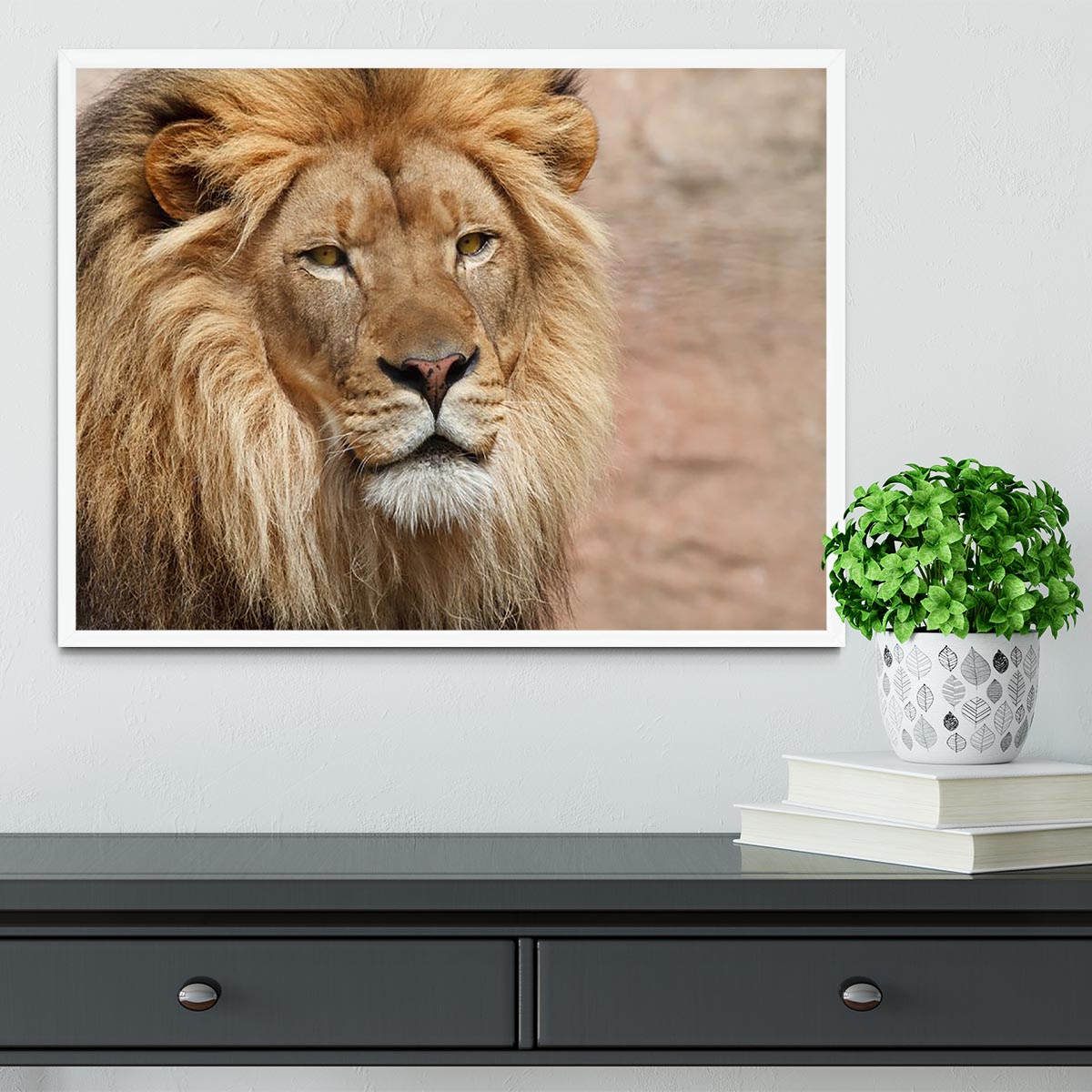 Lion Framed Print - Canvas Art Rocks -6