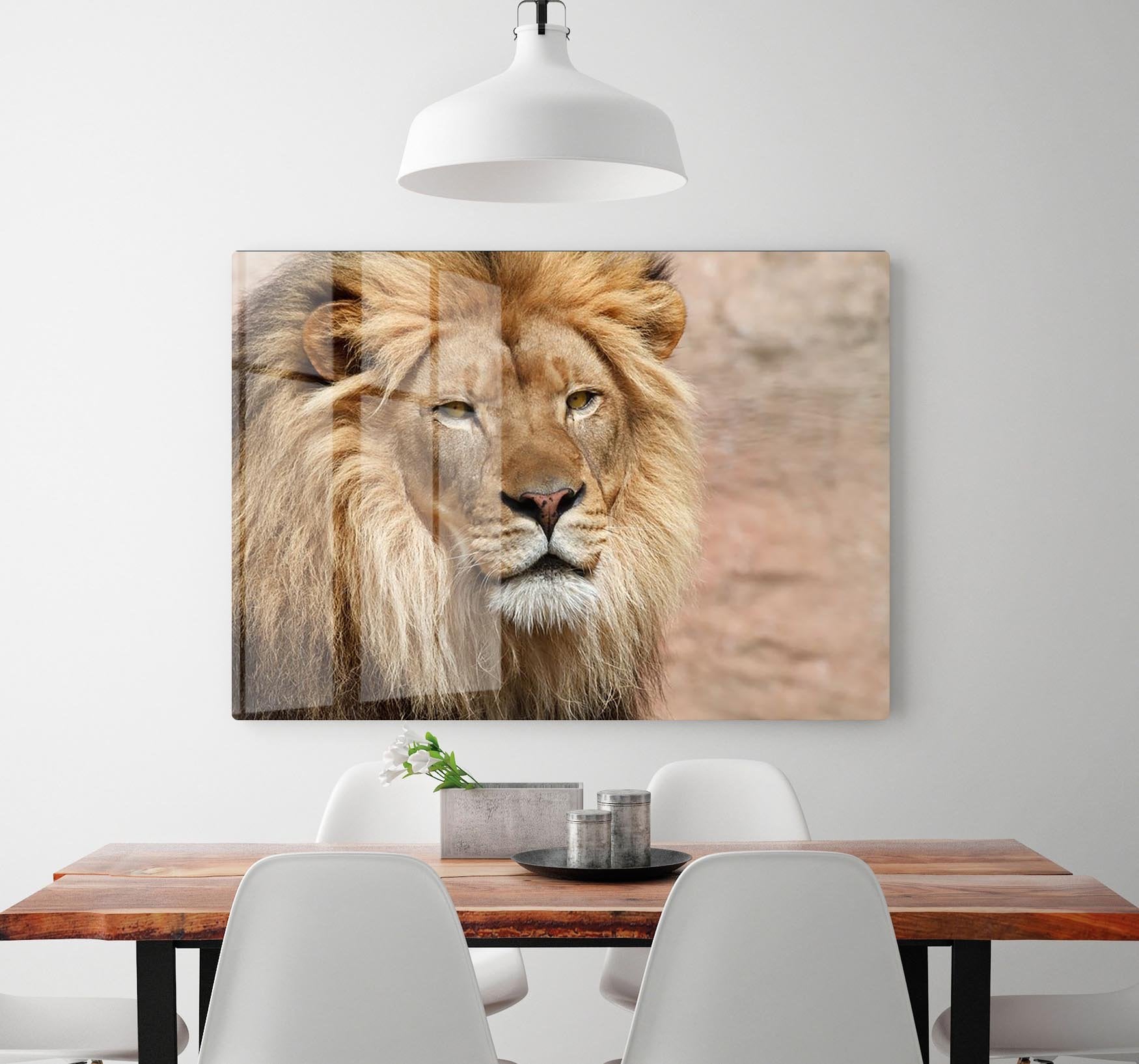 Lion HD Metal Print - Canvas Art Rocks - 2