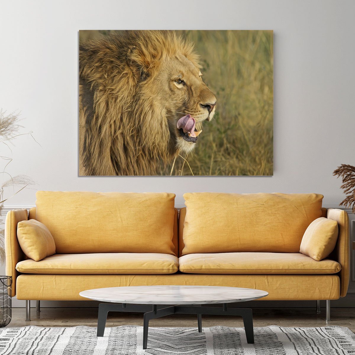 Lion Head Canvas Print or Poster