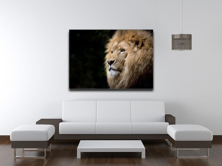Lion Up Close Print - Canvas Art Rocks - 4