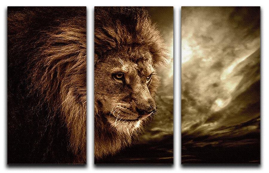 Lion against stormy sky 3 Split Panel Canvas Print - Canvas Art Rocks - 1