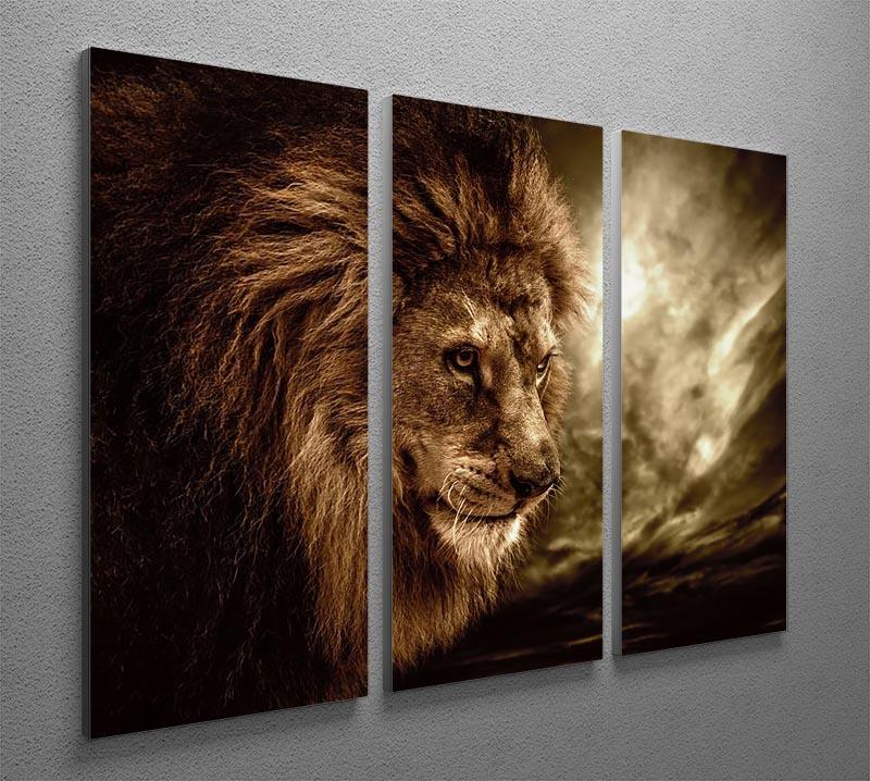 Lion against stormy sky 3 Split Panel Canvas Print - Canvas Art Rocks - 2
