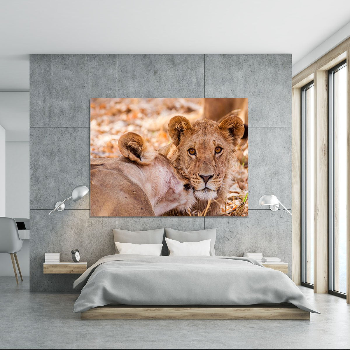 Lion cub and mother Canvas Print or Poster