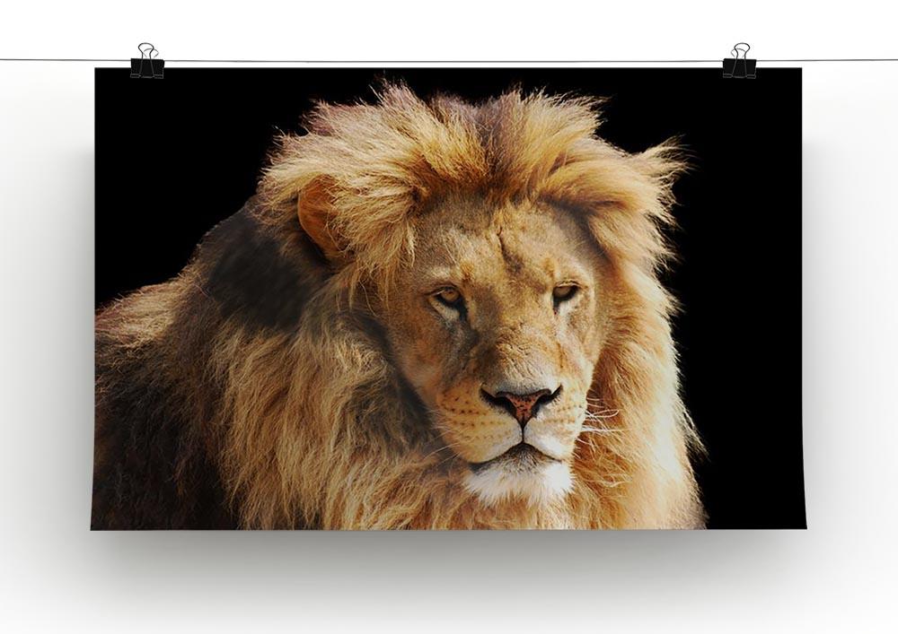 Lion head Canvas Print or Poster - Canvas Art Rocks - 2