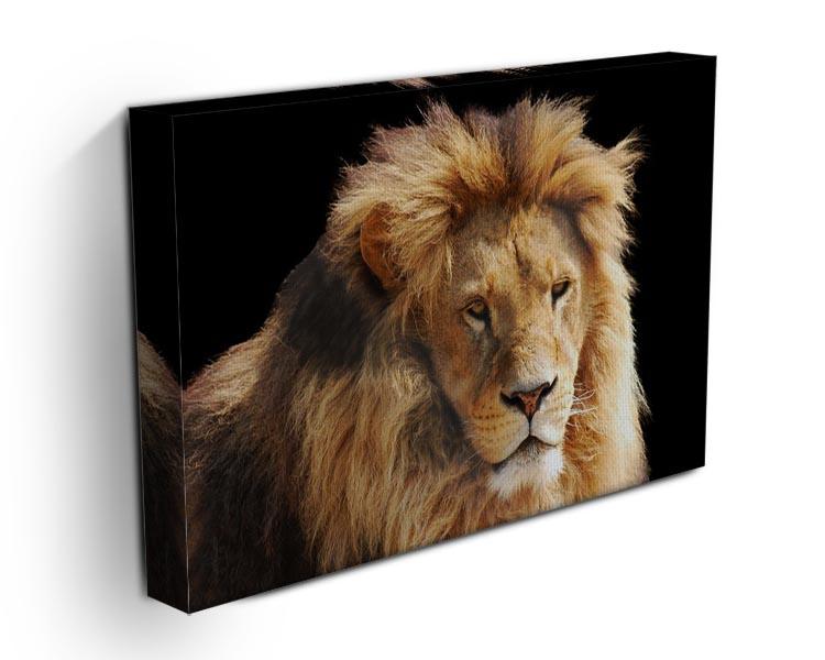 Lion head Canvas Print or Poster - Canvas Art Rocks - 3