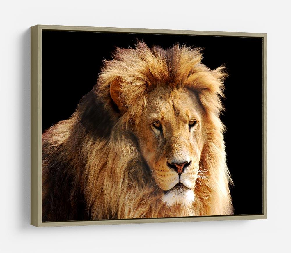 Lion head HD Metal Print - Canvas Art Rocks - 8